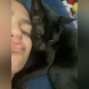 Meet your Posher, Alana